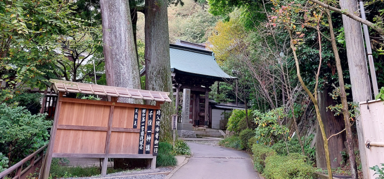 【レポート速報】2024年 髙尾山薬王院で法話と精進料理を楽しむ会